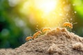 Ants marching on soil near seedling in sunlit environment Royalty Free Stock Photo