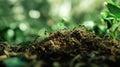 Close-up macro shot of ants marching on dirt in a forest, teamwork concept, shallow depth of field Royalty Free Stock Photo