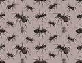 Ants Pattern - Seamless Design with Black Ants Royalty Free Stock Photo
