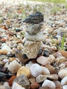 ants on a pile of stones