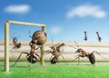 Ants play soccer, micro football