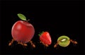 The Ants powerful carrying apple, strawberry and kiwi Royalty Free Stock Photo