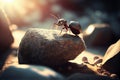 Ants on the rocks. Macro shot. Shallow depth of field.generative ai