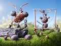 Ants sculptors, ant tales Royalty Free Stock Photo