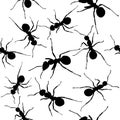 Ants. Seamless black and white vector background.