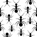 Ants Seamless black and white vector pattern.