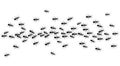 Ants trail, line of working ants on white background. Groups of insect marching or walking down the road. Insect colony