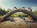 Ants unite, building bridges through teamwork. Royalty Free Stock Photo