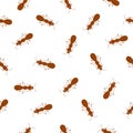 Ants on white background. Seamless background pattern Royalty Free Stock Photo