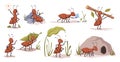 Cute ant creatures working, ecosystem and nature Royalty Free Stock Photo