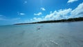 Antunes Beach At Maragogi In Alagoas Brazil. Tourism Landscape. Royalty Free Stock Photo