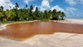 Antunes Beach At Maragogi In Alagoas Brazil. Tourism Landscape.