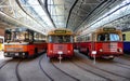 ANTWERP, BELGIUM - JUNE 29, 2019: Vintage buses used in Belgium until the 80s are displayed at the Flemish Tram Museum.