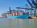 Antwerp, Belgium Panoramic view of harbor cranes and container ships in the largest dock of the port of Antwerp Royalty Free Stock Photo