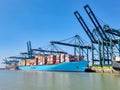 Antwerp, Belgium Panoramic view of harbor cranes and container ships in the largest dock of the port of Antwerp Royalty Free Stock Photo