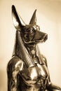 Anubis Royalty Free Stock Photo