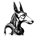 Anubis hand drawn sketch in doodle style Vector illustration Royalty Free Stock Photo