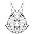 Anubis. Jackal sketch vector illustration. Ancient Egyptian god of death.