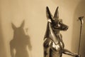 Anubis and shadow