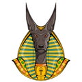 Anubis. Vector illustration of a jackal. Ancient Egyptian God of death. Royalty Free Stock Photo