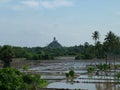 ANURADHAPURA Rice production is one of the main productions
