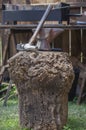 Anvil, hammer and mace displayed over cork oak stump