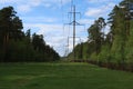 Power line in protected forest area