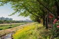 Anyangcheon stream park and city view in Seoul, Korea Royalty Free Stock Photo