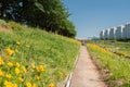 Anyangcheon stream park at spring in Seoul, Korea