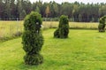 Owl and Lion shaped bushes in a topiary garden