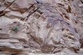 Anza-Borrego Anticline  42672 Royalty Free Stock Photo