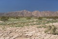 Anza-Borrego Desert State Park California drought
