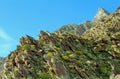 Anza Borrego desert state park, Spring landscape with super blooming