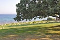 Headstones, Burnu Cemetery at Anzac Cove, Gallipoli Peninsula, Turkey Royalty Free Stock Photo