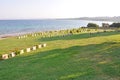 Headstones, Burnu Cemetery at Anzac Cove, Gallipoli Peninsula, Turkey Royalty Free Stock Photo