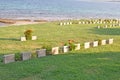 Headstones, Burnu Cemetery at Anzac Cove, Gallipoli Peninsula, Turkey