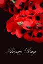 Anzac Day