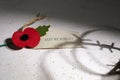 Anzac day. Australian and New Zealand national public holiday or Remembrance day. Red poppy on biege stone background Royalty Free Stock Photo