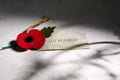 Anzac day. Australian and New Zealand national public holiday or Remembrance day. Red poppy on biege stone background Royalty Free Stock Photo