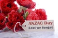 ANZAC Day Poppies