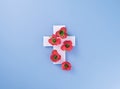 Anzac day. Remembrance day poppy symbol with paper cross Royalty Free Stock Photo