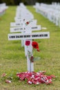 ANZAC Rememberance Crosses