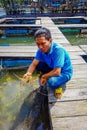 AO NANG, THAILAND - FEBRUARY 19, 2018: Outdoor view of unidentified man recolecting a lobster at Farm fish wood