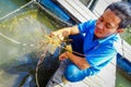 AO NANG, THAILAND - FEBRUARY 19, 2018: Outdoor view of unidentified man recolecting a lobster at Farm fish wood