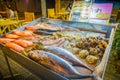 AO NANG, THAILAND - MARCH 23, 2018: Close up of assorted marine animals, fish, shell, squid, crab over a metallic tray