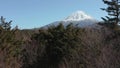 Aokigahara Forest, Rise Shot Revealing Mt Fuji