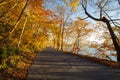 Aomori prefecture, Tohoku region, Japan with nice background