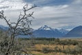 Aoraki / Mount Cook, the highest mountain in New Zealand, and the Tasman River seen from Glentanner Park Centre Royalty Free Stock Photo