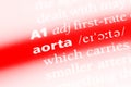 aorta