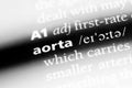 aorta